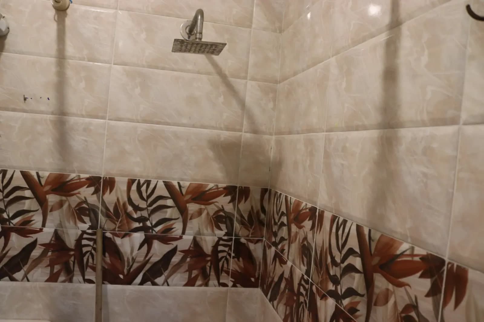Apartment in Alexandria
