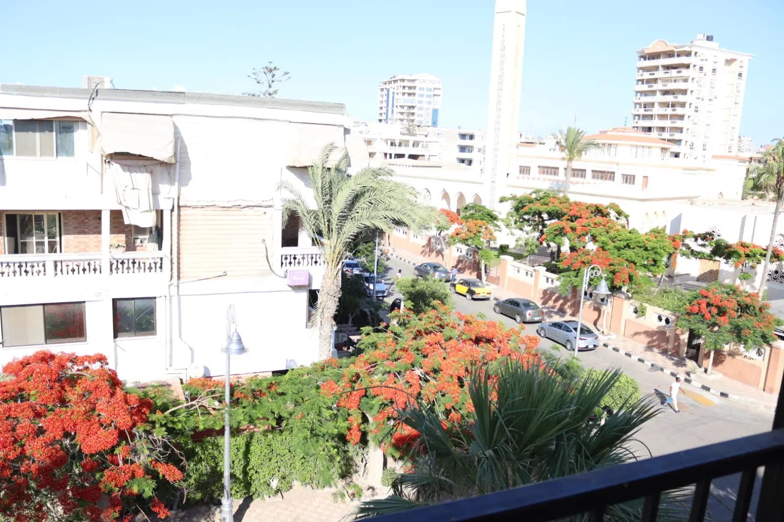 Apartment in Alexandria